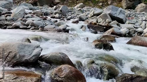 A powerful mountain stream flowing through large rocks and boulders, creating white foamy rapids. The crystal-clear water rushes with energy, showcasing the beauty of untouched nature in a rocky river