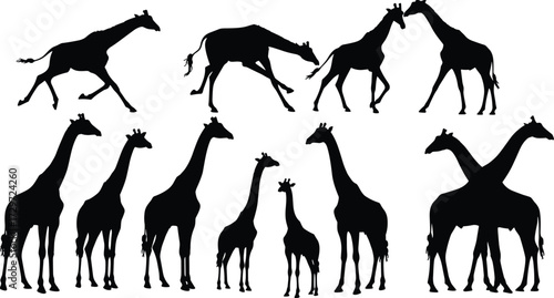 Giraffe silhouette vector illustration collection, wild animal design for safari, wildlife, nature, African savanna, zoo, decorative artwork, isolated black figures