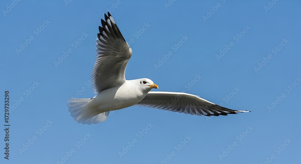 Fototapeta premium Graceful seagull soaring freely in a clear blue sky on a bright day.