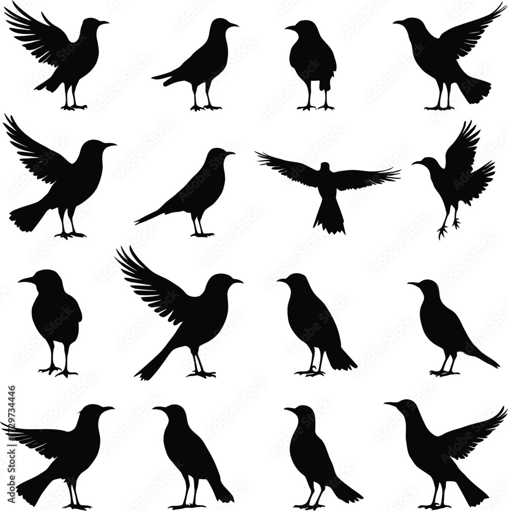 Obraz premium Bird Silhouette Icon Doodle Set – Black and White Vector Illustrations of Flying, Standing, and Perching Birds