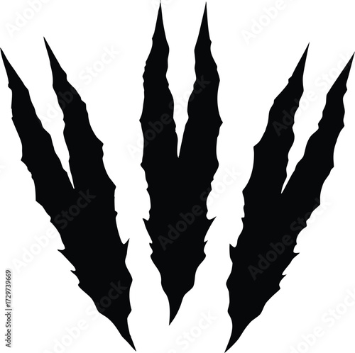 Vector Claw Silhouette - Animal Paw, Eagle or Dragon Talon Graphic, Predatory Claw or Talon - Sharp Silhouette Vector Illustration

