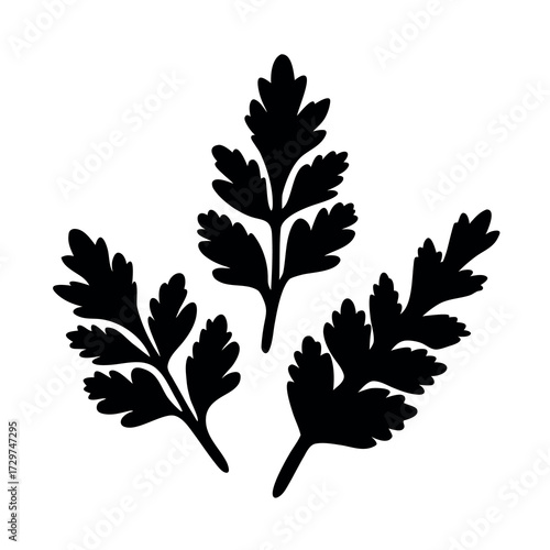 Silhouette of three dark green parsley leaves on a white background