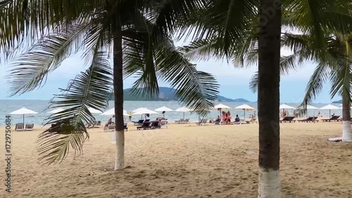 Tropical view of Nha Trang beach in Vietnam with palm trees, sandy shore, white umbrellas and lounge chairs. People relaxing by the sea with mountains in the background.