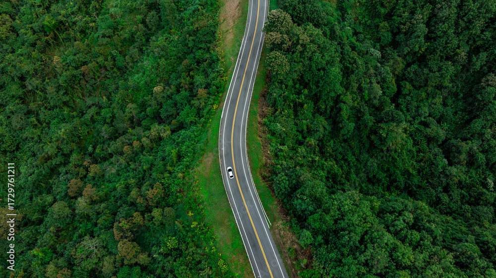 Fototapeta premium Aerial view of dark green forest road and white electric car Natural landscape and elevated roads Adventure travel and transportation and environmental protection concept 