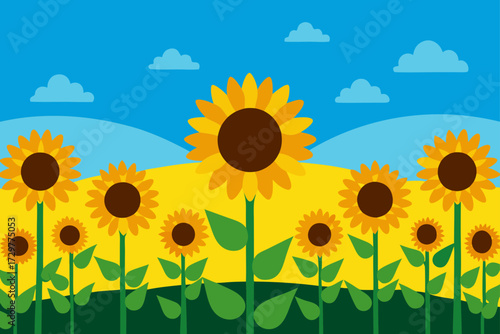 Vibrant field of sunflowers under a clear blue sky with fluffy white clouds and rolling hills in the background