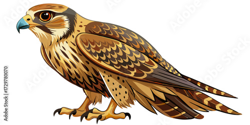Detailed illustration of a standing falcon with brown feathers and sharp talons