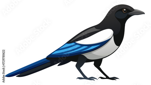 Illustration of a Magpie Standing Tall with Bold Black and White Plumage