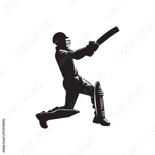 Cricket Batsman Silhouette Batting Vector Illustration