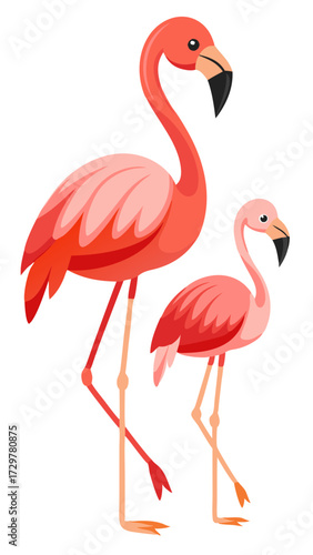 Two Cartoon Flamingos Standing Next to Each Other on a White Background