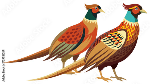 A colorful vector art illustration featuring two elegant common pheasant birds
