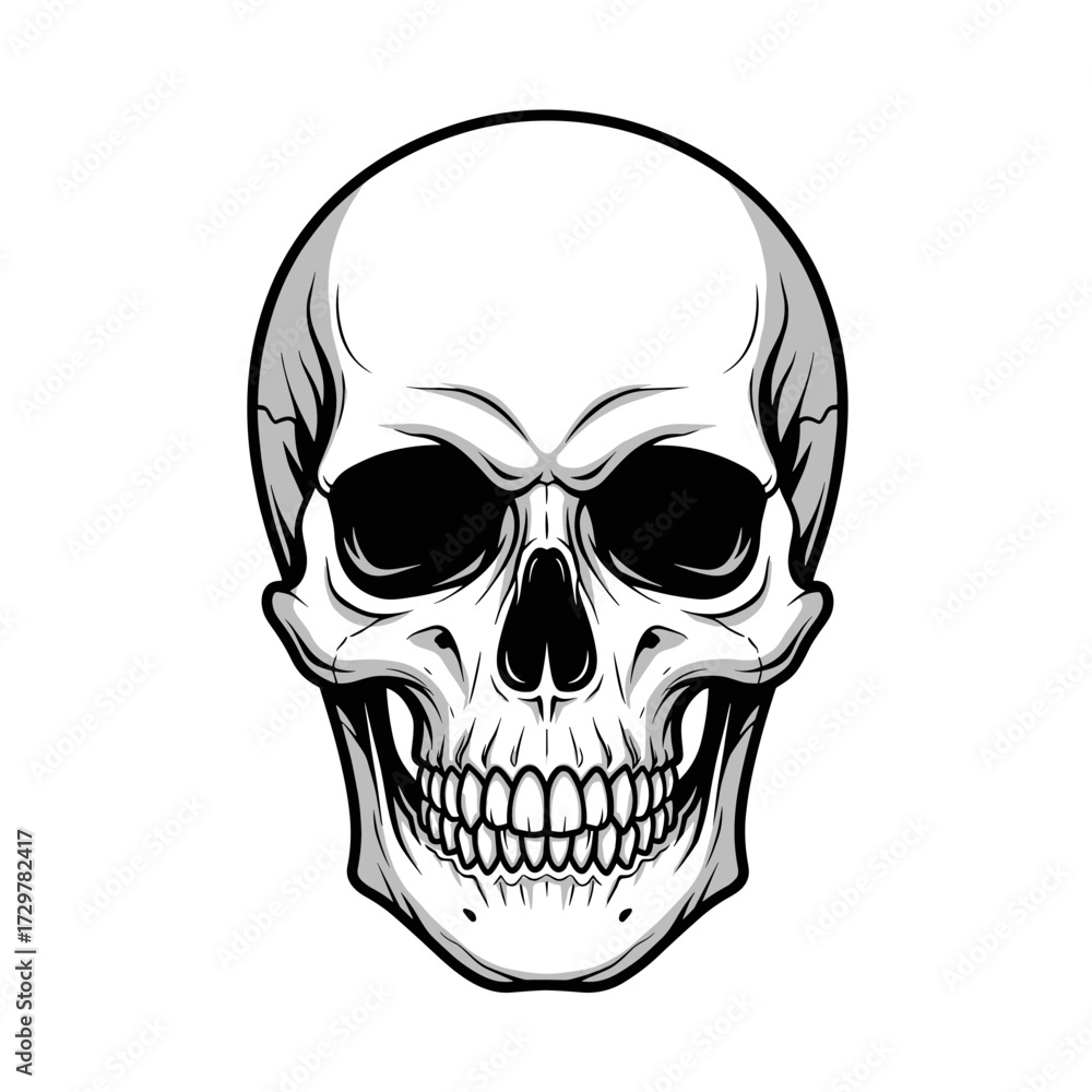 Fototapeta premium Detailed Human Skull Vector Illustration in Black and White