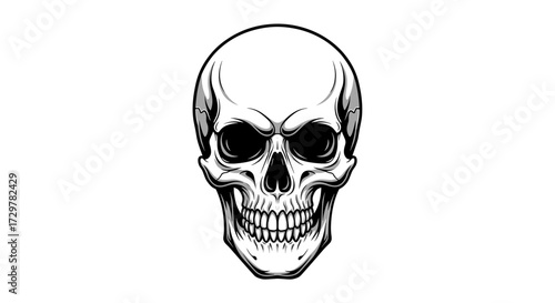 Front View Human Skull Vector Outline Illustration
