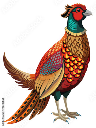 Colorful Pheasant Illustration with Detailed Plumage and Distinct Markings on a White Background