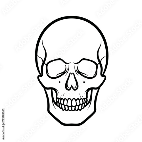 Minimalist Human Skull Outline Icon, Front View Vector