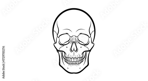 Simple Line Art Human Skull Illustration, Front View