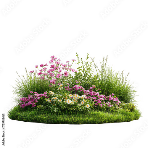 Flower Bed With Flowers And Grass. Isolated Front View. Landscape Design Template on a white background.