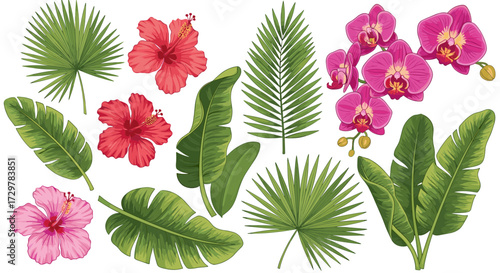 Collection of Diverse Tropical Flowers and Leaves, Including Orchids, Hibiscus, and Palm Fronds for Exotic Designs