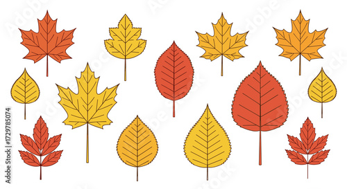 Collection of diverse autumn leaves in fall colors, seasonal nature vector elements.