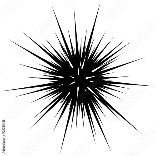 Abstract Black Starburst or Explosion Shape with Radial Spikes on White Background