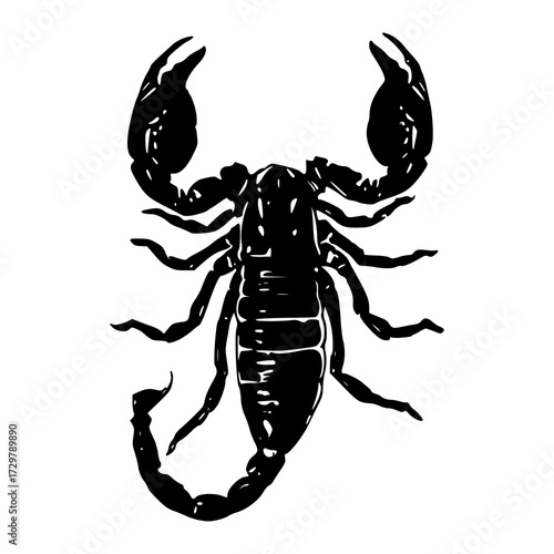 monochrome arachnid stinger