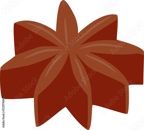 Star Anise Spice with Distinctive Star Shape