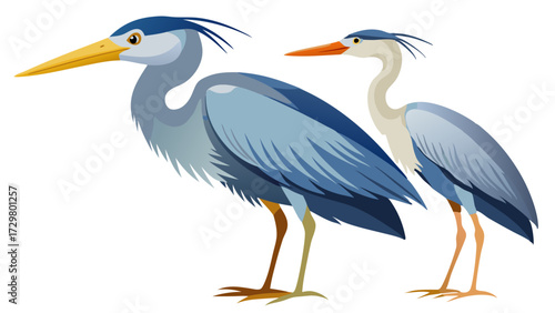 Illustration of Two Graceful Herons Standing Proudly in a Minimalist Design