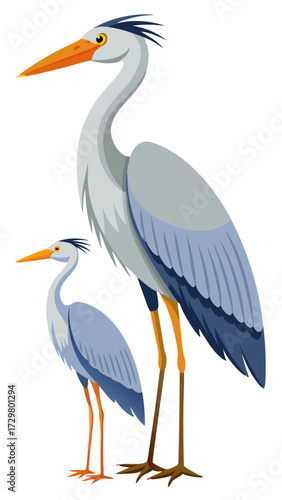 Pair of Grey Herons Standing Tall in a Cartoon Illustration Style