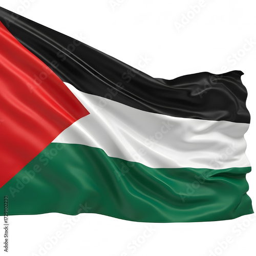 Palestinian flag flying