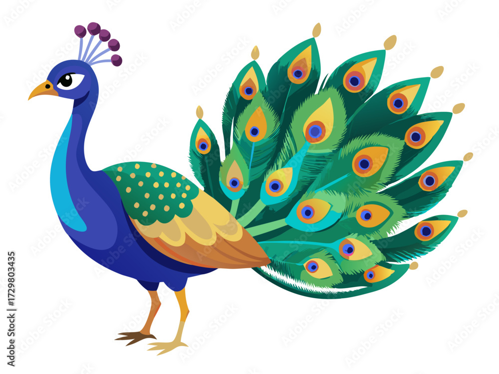 Obraz premium Colorful cartoon peacock with ornate tail feathers on a white background