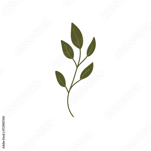 Elegant Green Leaf Vector for Wedding and Digital Invitation Design