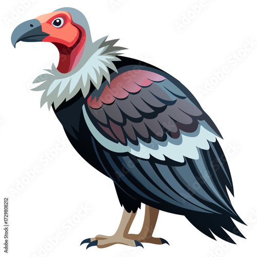 Cartoon illustration of a colorful vulture with a distinct feather pattern
