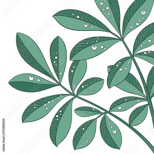 Closeup of a lush green plant with water droplets clinging to its leaves, , creating a refreshing and vibrant botanical scene with intricate details