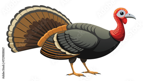 A cartoon illustration of a majestic wild turkey isolated on white