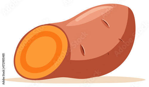 Vector illustration of a single raw sweet potato sliced to show the orange interior