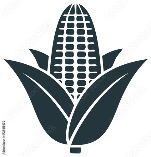 Corn illustration, vector graphic of a sweetcorn cob
