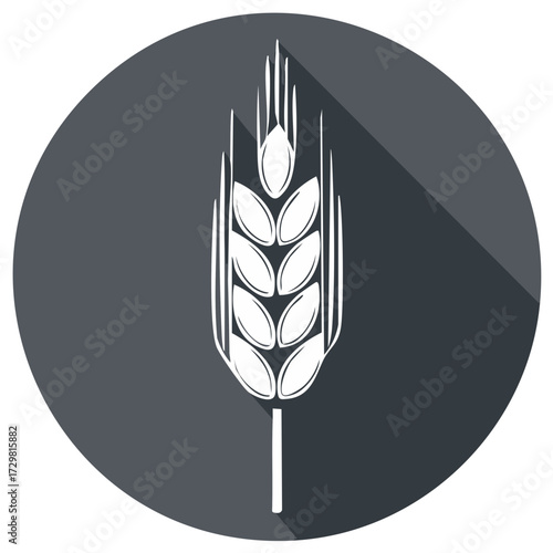 Stylized White Wheat Ear Icon with Long Shadow on Dark Gray Circle Background