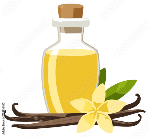 Vanilla extract oil bottle with natural vanilla pods and delicate flower, aromatic essence illustration.