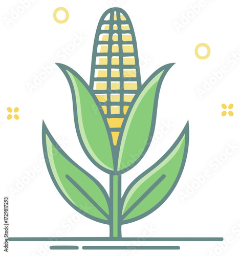 Fresh corn on the cob vector illustration with green leaves, healthy food concept