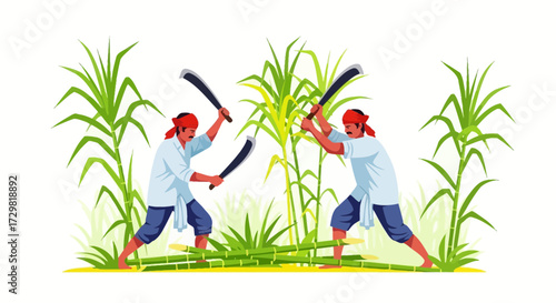 Illustrative depiction of sugar cane harvest featuring two agricultural workers