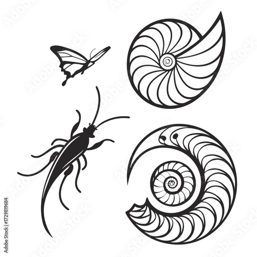 Collection of black silhouette illustrations featuring a butterfly a grasshopper and two nautilus shell designs on a white background