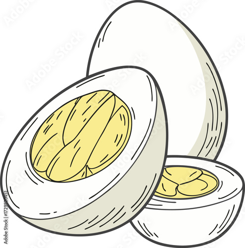 Detailed Cross Section Illustration of a Hard Boiled Egg Featuring White Yellow and Black Elements with Cyan Magenta and Grayscale Tones on a Vector Design