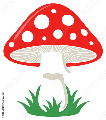 Red Mushroom with White Spots Cartoon Illustration on Green Grass, Fairy Tale Forest