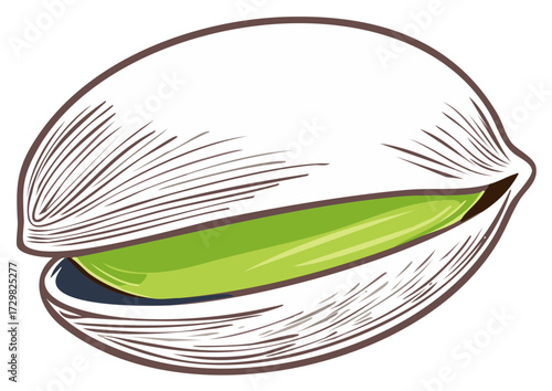 Isolated pistachio nut illustration showing textured shell and vibrant green seed