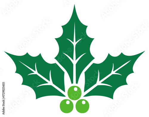 Stylized Green Holly Leaves and Berries Christmas Holiday Symbol Illustration