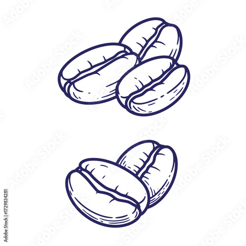 Hand drawn illustration of coffee beans in dark blue ink against a clean white background.