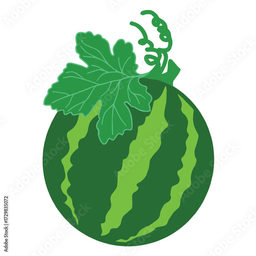 Illustration of a seamless pattern background with rows of watermelons.