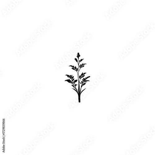
A black silhouette of a plant vector silhoutte.