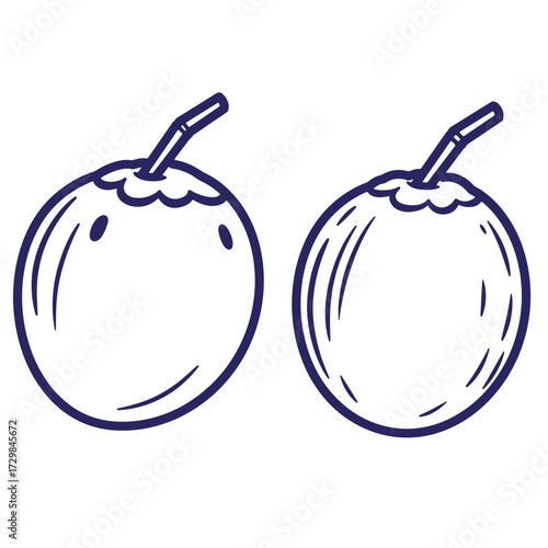 Hand drawn outline illustrations of two fresh coconuts with straws for refreshing tropical drinks