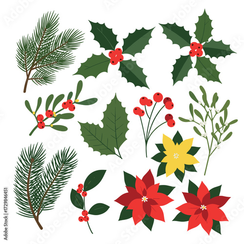 A festive collection of winter holiday botanical elements including pine branches holly mistletoe and poinsettias for seasonal decorations and crafts.