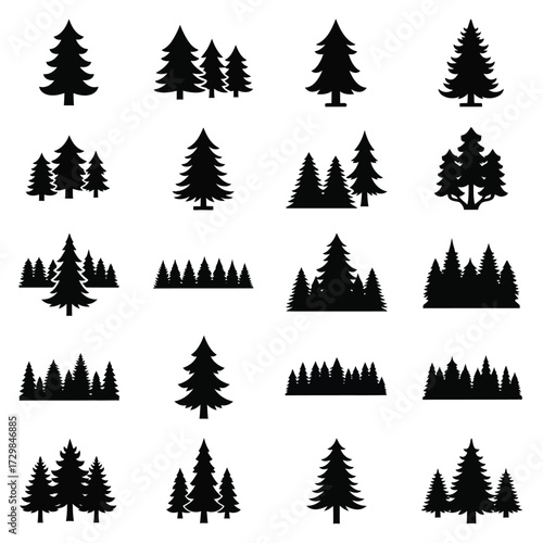 Set of various fir tree silhouettes isolated on white background in vector format